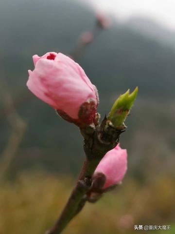 有氧登山怎么用 有氧登山运动