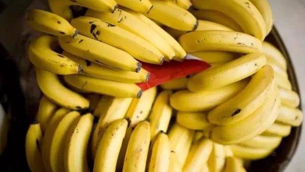 吃多少香蕉 猴子一天吃多少香蕉