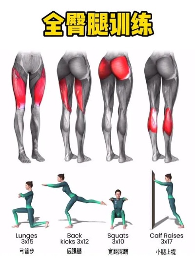 练腿怎么练臀 练腿怎么练臀部肌肉