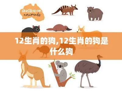 12生肖属相狗 十二属相狗是什么生肖