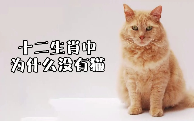 猫不是12生肖 猫怎么不是十二生肖