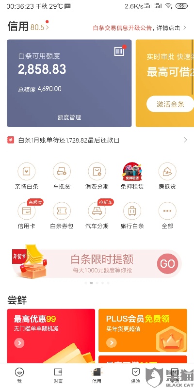 信用钱包白条有什么用 信用白条什么意思