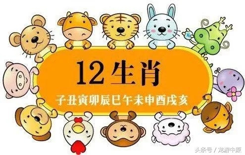 12生肖阴阳性 十二生肖的阴阳生肖是什么