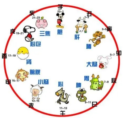 12生肖时钟排序 十二生肖时辰时间排序表