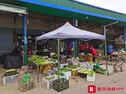 莆田烘焙设备市场在哪里 莆田烘焙原料批发市场