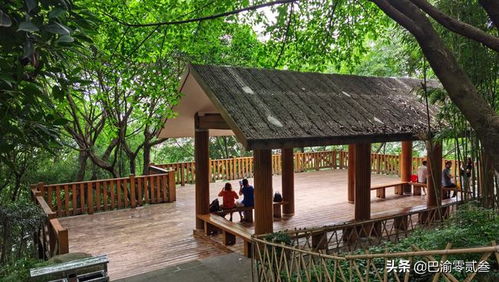 亳州甜心烘焙地址在哪里 大龙山龙法寺