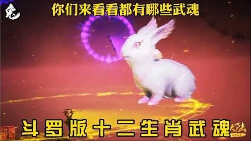 12生肖定武魂 十二生武魂