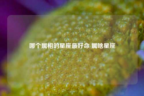 哪个属相的星座最好命 属啥星座