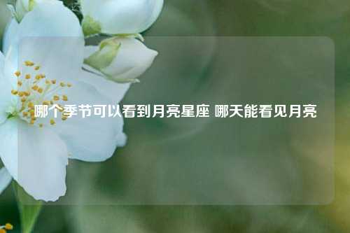 哪个季节可以看到月亮星座 哪天能看见月亮