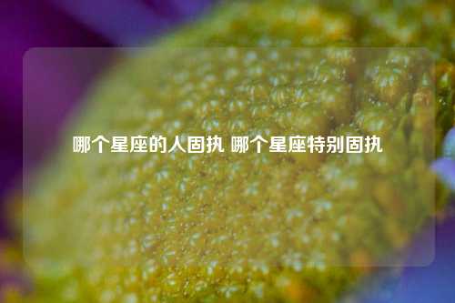 哪个星座的人固执 哪个星座特别固执