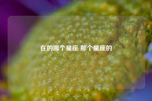 在的哪个星座 那个星座的