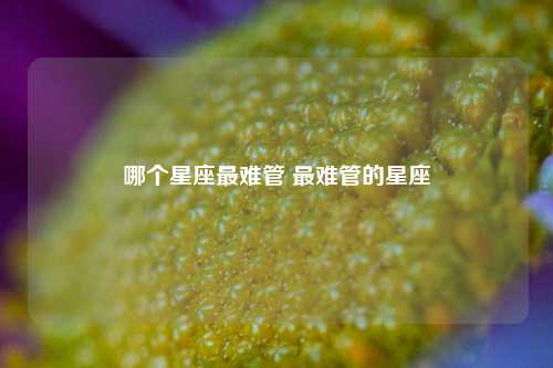 哪个星座最难管 最难管的星座