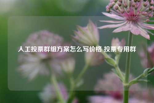 人工投票群组方案怎么写价格 投票专用群