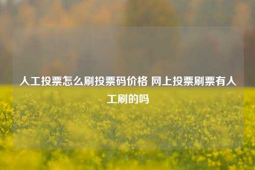 人工投票怎么刷投票码价格 网上投票刷票有人工刷的吗