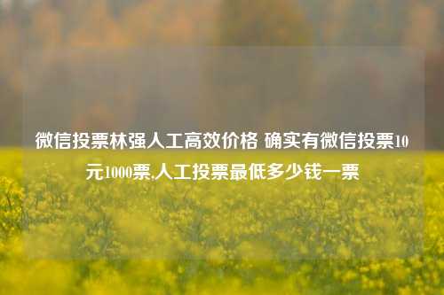 微信投票林强人工高效价格 确实有微信投票10元1000票,人工投票最低多少钱一票