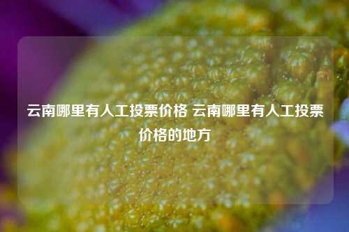 云南哪里有人工投票价格 云南哪里有人工投票价格的地方