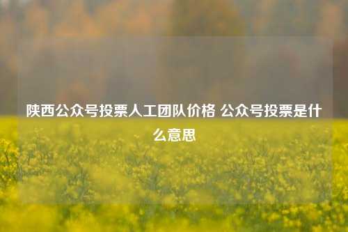 陕西公众号投票人工团队价格 公众号投票是什么意思