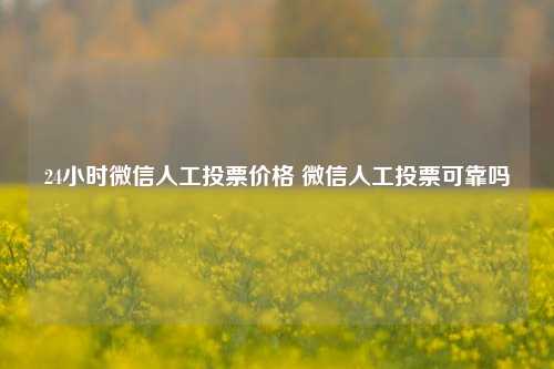 24小时微信人工投票价格 微信人工投票可靠吗