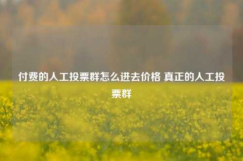 付费的人工投票群怎么进去价格 真正的人工投票群