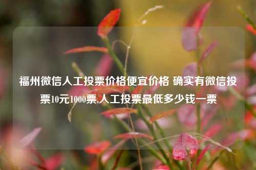 福州微信人工投票价格便宜价格 确实有微信投票10元1000票,人工投票最低多少钱一票