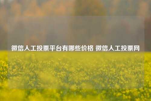 微信人工投票平台有哪些价格 微信人工投票网