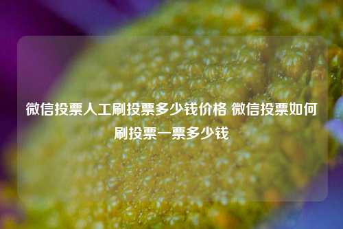 微信投票人工刷投票多少钱价格 微信投票如何刷投票一票多少钱