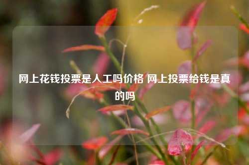 网上花钱投票是人工吗价格 网上投票给钱是真的吗