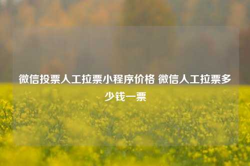 微信投票人工拉票小程序价格 微信人工拉票多少钱一票