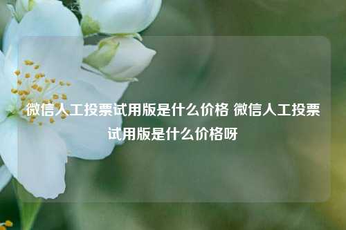 微信人工投票试用版是什么价格 微信人工投票试用版是什么价格呀