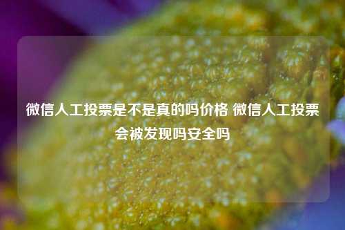 微信人工投票是不是真的吗价格 微信人工投票会被发现吗安全吗