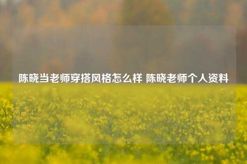 陈晓当老师穿搭风格怎么样 陈晓老师个人资料