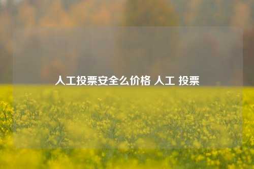 人工投票安全么价格 人工 投票