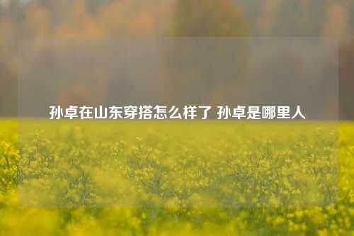 孙卓在山东穿搭怎么样了 孙卓是哪里人