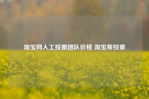 淘宝网人工投票团队价格 淘宝帮投票