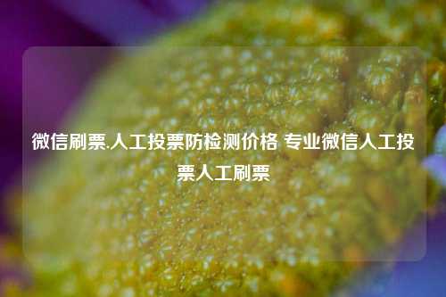 微信刷票.人工投票防检测价格 专业微信人工投票人工刷票