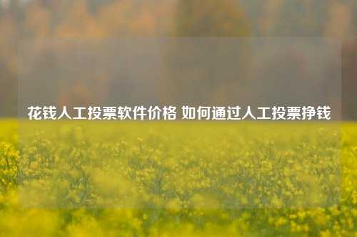 花钱人工投票软件价格 如何通过人工投票挣钱