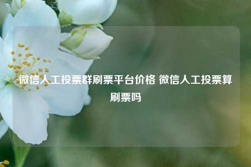 微信人工投票群刷票平台价格 微信人工投票算刷票吗