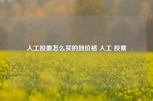 人工投票怎么买的到价格 人工 投票