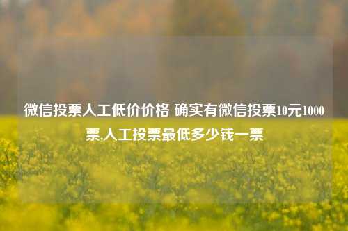 微信投票人工低价价格 确实有微信投票10元1000票,人工投票最低多少钱一票