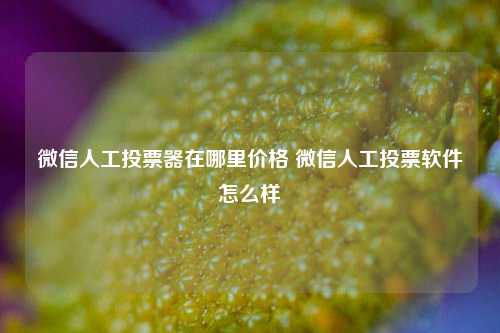 微信人工投票器在哪里价格 微信人工投票软件怎么样