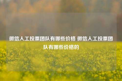 微信人工投票团队有哪些价格 微信人工投票团队有哪些价格的