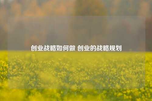 创业战略如何做 创业的战略规划