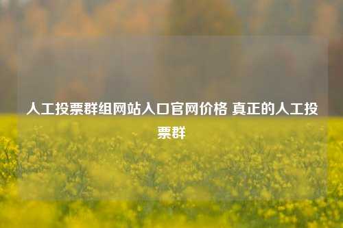 人工投票群组网站入口官网价格 真正的人工投票群