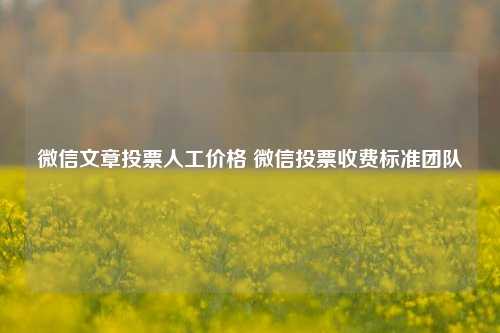 微信文章投票人工价格 微信投票收费标准团队