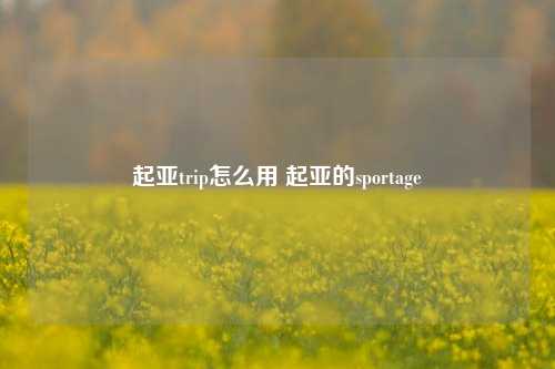 起亚trip怎么用 起亚的sportage