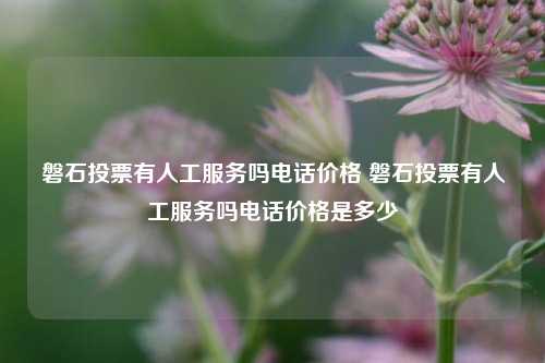 磐石投票有人工服务吗电话价格 磐石投票有人工服务吗电话价格是多少