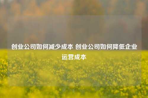 创业公司如何减少成本 创业公司如何降低企业运营成本