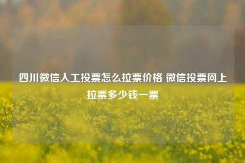 四川微信人工投票怎么拉票价格 微信投票网上拉票多少钱一票