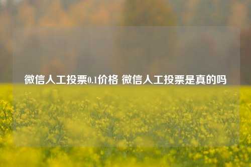 微信人工投票0.1价格 微信人工投票是真的吗