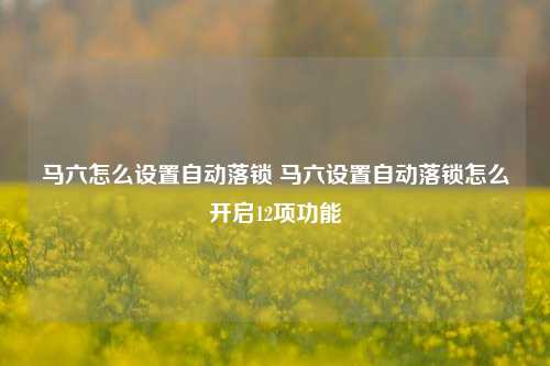 马六怎么设置自动落锁 马六设置自动落锁怎么开启12项功能